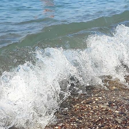 Suncani Apartman 1-Vila Amfora Budva Kültér fotó