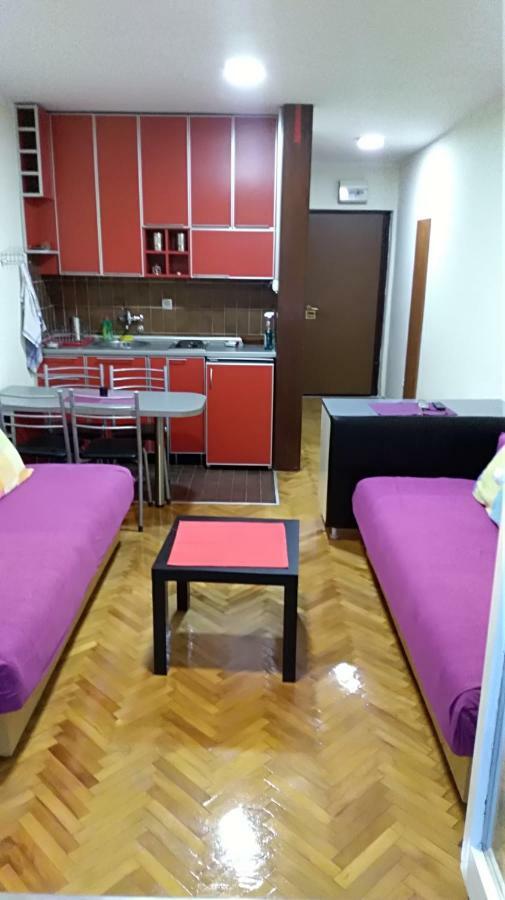 Suncani Apartman 1-Vila Amfora Budva Kültér fotó